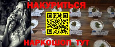 гидропоника Будённовск