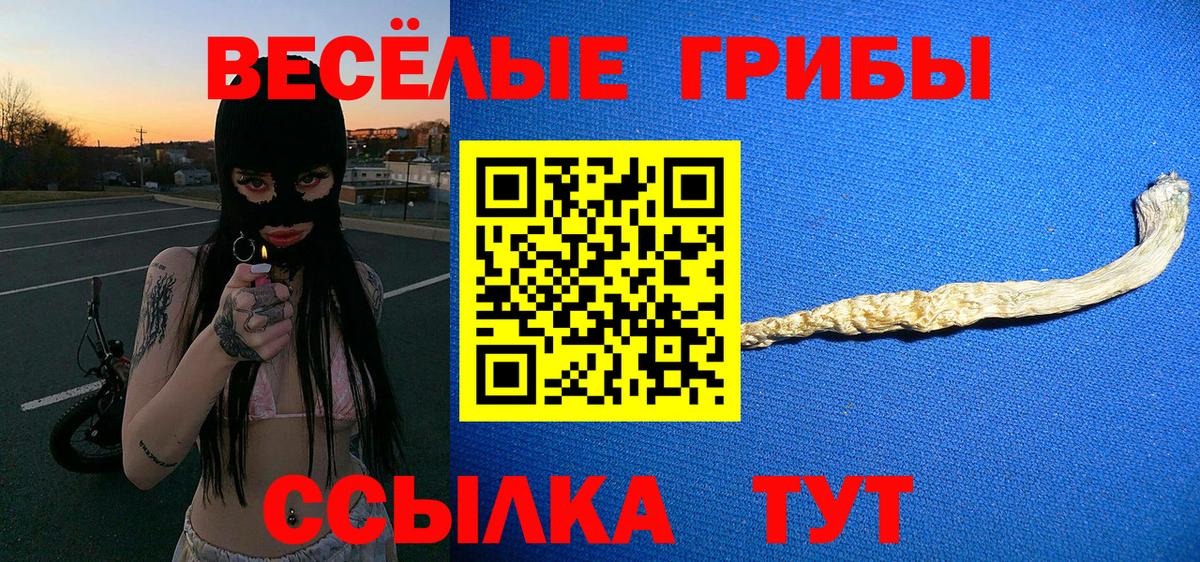 Галлюциногенные грибы прущие грибы Красноуфимск