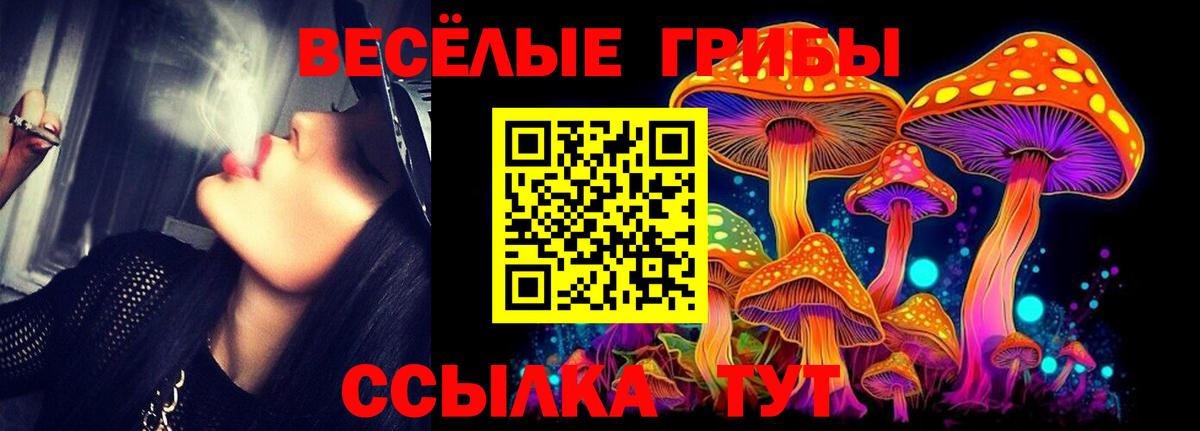 Галлюциногенные грибы мухоморы  Вход с VPN  Красноуфимск 